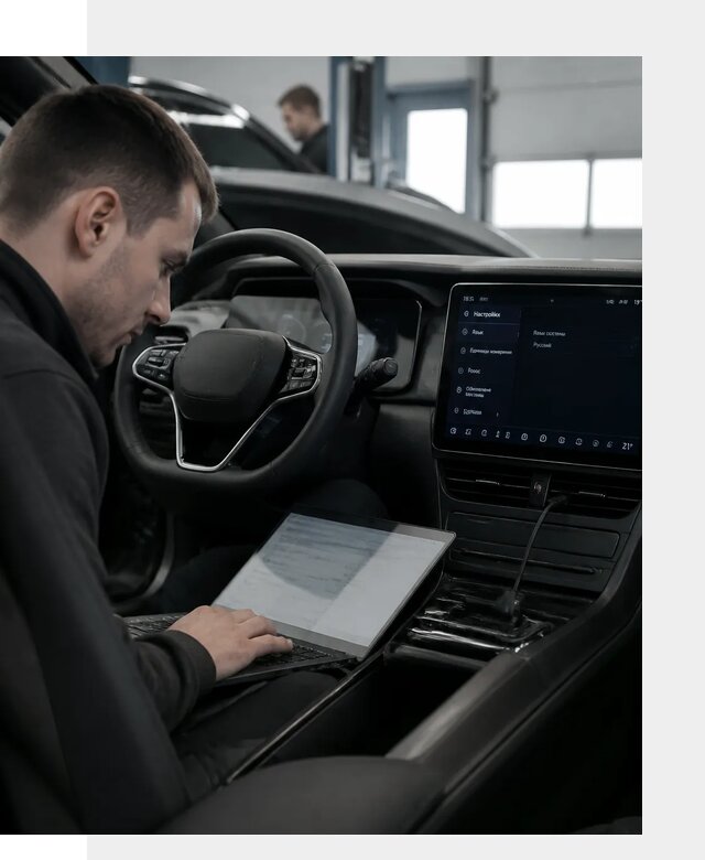 Русификация автомобилей BYD под ключ для всех моделей в Норильске
